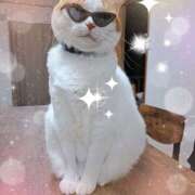 ヒメ日記 2025/11/14 07:21 投稿 しずか 池袋で熟女の風俗 マダムいやーん