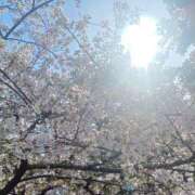 ヒメ日記 2025/04/16 11:36 投稿 ゆら 奥様の実話 谷九店