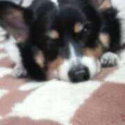 ヒメ日記 2025/04/22 07:15 投稿 ゆら 奥様の実話 谷九店