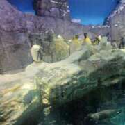 ヒメ日記 2025/04/25 06:24 投稿 ゆら 奥様の実話 谷九店