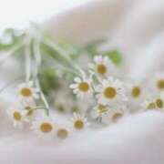 ヒメ日記 2025/04/11 08:39 投稿 花（はんな） エスペランサ新館