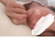 ヒメ日記 2025/04/17 18:49 投稿 花（はんな） エスペランサ新館