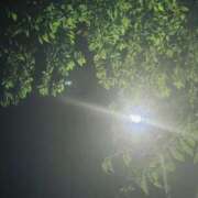 ヒメ日記 2025/04/19 21:49 投稿 花（はんな） エスペランサ新館