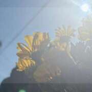 ヒメ日記 2025/04/24 15:39 投稿 花（はんな） エスペランサ新館