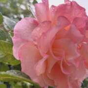 ヒメ日記 2025/05/06 16:09 投稿 花（はんな） エスペランサ新館