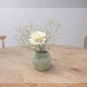 ヒメ日記 2025/05/19 06:09 投稿 花（はんな） エスペランサ新館