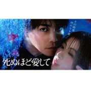 ヒメ日記 2025/05/20 16:39 投稿 花（はんな） エスペランサ新館