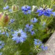 ヒメ日記 2025/05/22 18:49 投稿 花（はんな） エスペランサ新館