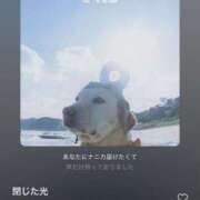 ヒメ日記 2025/05/24 07:09 投稿 花（はんな） エスペランサ新館