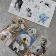 ヒメ日記 2025/05/29 22:29 投稿 花（はんな） エスペランサ新館