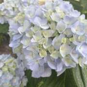 ヒメ日記 2025/06/06 18:59 投稿 花（はんな） エスペランサ新館