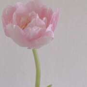 ヒメ日記 2025/06/16 08:29 投稿 花（はんな） エスペランサ新館