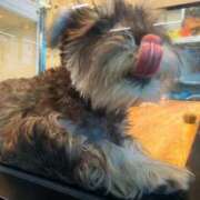 ヒメ日記 2025/07/06 20:09 投稿 花（はんな） エスペランサ新館