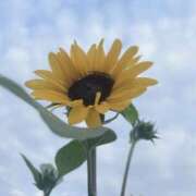 ヒメ日記 2025/07/09 06:19 投稿 花（はんな） エスペランサ新館