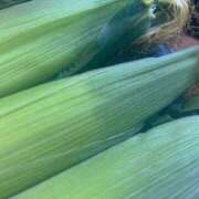 ヒメ日記 2025/07/28 15:39 投稿 花（はんな） エスペランサ新館