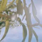 ヒメ日記 2025/08/03 10:39 投稿 花（はんな） エスペランサ新館