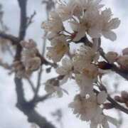 ヒメ日記 2026/03/06 08:59 投稿 花（はんな） エスペランサ新館