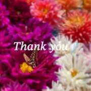 ヒメ日記 2025/04/22 16:33 投稿 りあ 人妻洗体倶楽部