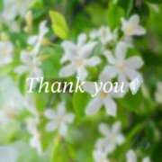 ヒメ日記 2025/07/17 19:21 投稿 りあ 人妻洗体倶楽部