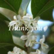 ヒメ日記 2025/10/14 19:30 投稿 りあ 人妻洗体倶楽部