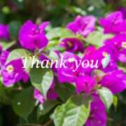 ヒメ日記 2025/10/27 18:03 投稿 りあ 人妻洗体倶楽部