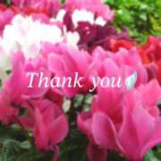 ヒメ日記 2025/11/12 19:51 投稿 りあ 人妻洗体倶楽部