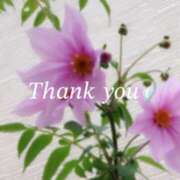 ヒメ日記 2025/11/14 21:12 投稿 りあ 人妻洗体倶楽部