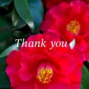 ヒメ日記 2025/12/16 20:36 投稿 りあ 人妻洗体倶楽部