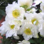 ヒメ日記 2025/12/26 19:42 投稿 りあ 人妻洗体倶楽部