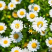 ヒメ日記 2026/02/12 20:03 投稿 りあ 人妻洗体倶楽部