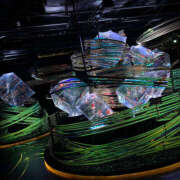 ヒメ日記 2025/09/15 07:26 投稿 かずは ハピネス東京 吉原店