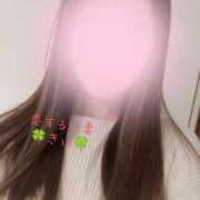 ヒメ日記 2025/05/06 08:51 投稿 きい 恋する人妻