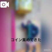 ヒメ日記 2025/04/03 07:45 投稿 イリス チューリップ福井本館