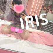 ヒメ日記 2025/04/07 13:44 投稿 イリス チューリップ福井本館