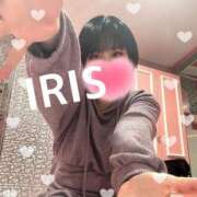 ヒメ日記 2025/04/07 17:19 投稿 イリス チューリップ福井本館