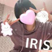 ヒメ日記 2025/04/07 19:44 投稿 イリス チューリップ福井本館