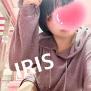 ヒメ日記 2025/04/08 12:09 投稿 イリス チューリップ福井本館