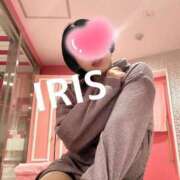 ヒメ日記 2025/04/08 17:59 投稿 イリス チューリップ福井本館