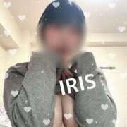 ヒメ日記 2025/04/10 07:34 投稿 イリス チューリップ福井本館