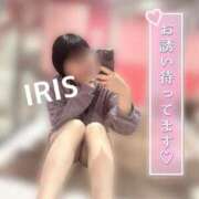 ヒメ日記 2025/04/10 17:47 投稿 イリス チューリップ福井本館