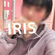 ヒメ日記 2025/04/11 08:04 投稿 イリス チューリップ福井本館