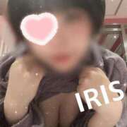 ヒメ日記 2025/04/11 14:21 投稿 イリス チューリップ福井本館