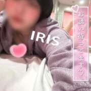 ヒメ日記 2025/04/11 20:03 投稿 イリス チューリップ福井本館