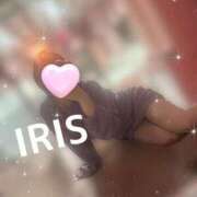 ヒメ日記 2025/04/12 10:07 投稿 イリス チューリップ福井本館