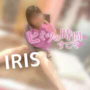 ヒメ日記 2025/04/12 14:04 投稿 イリス チューリップ福井本館