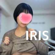 ヒメ日記 2025/04/13 11:14 投稿 イリス チューリップ福井本館