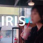 ヒメ日記 2025/04/13 14:24 投稿 イリス チューリップ福井本館