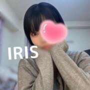 ヒメ日記 2025/04/13 18:34 投稿 イリス チューリップ福井本館