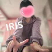 ヒメ日記 2025/04/13 23:44 投稿 イリス チューリップ福井本館