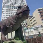 ヒメ日記 2025/04/14 13:14 投稿 イリス チューリップ福井本館